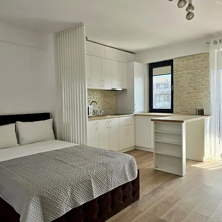 Irina's Premier At Seven Palms, * Saturn