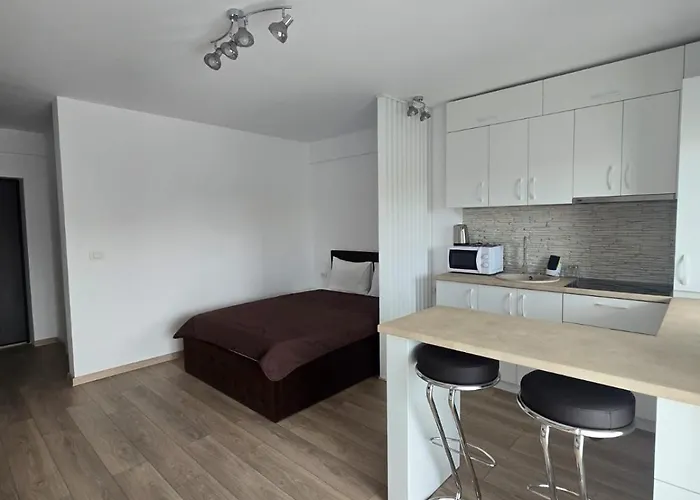 アパート Irina's Premier At Seven Palms, *